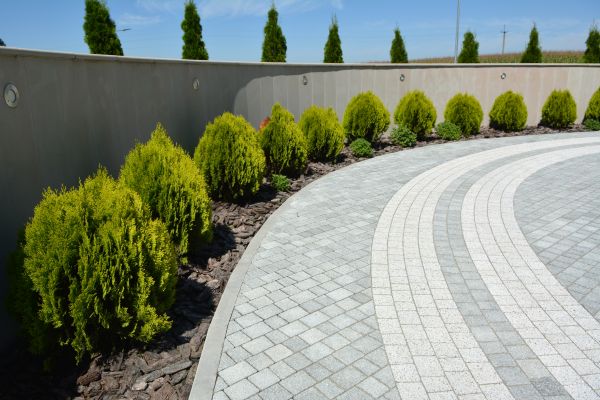 Paver Care